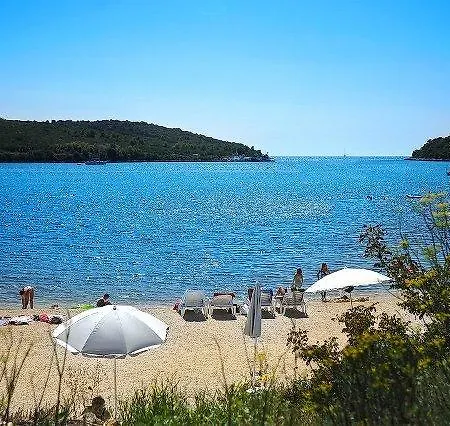 Apartment Petra Banjole